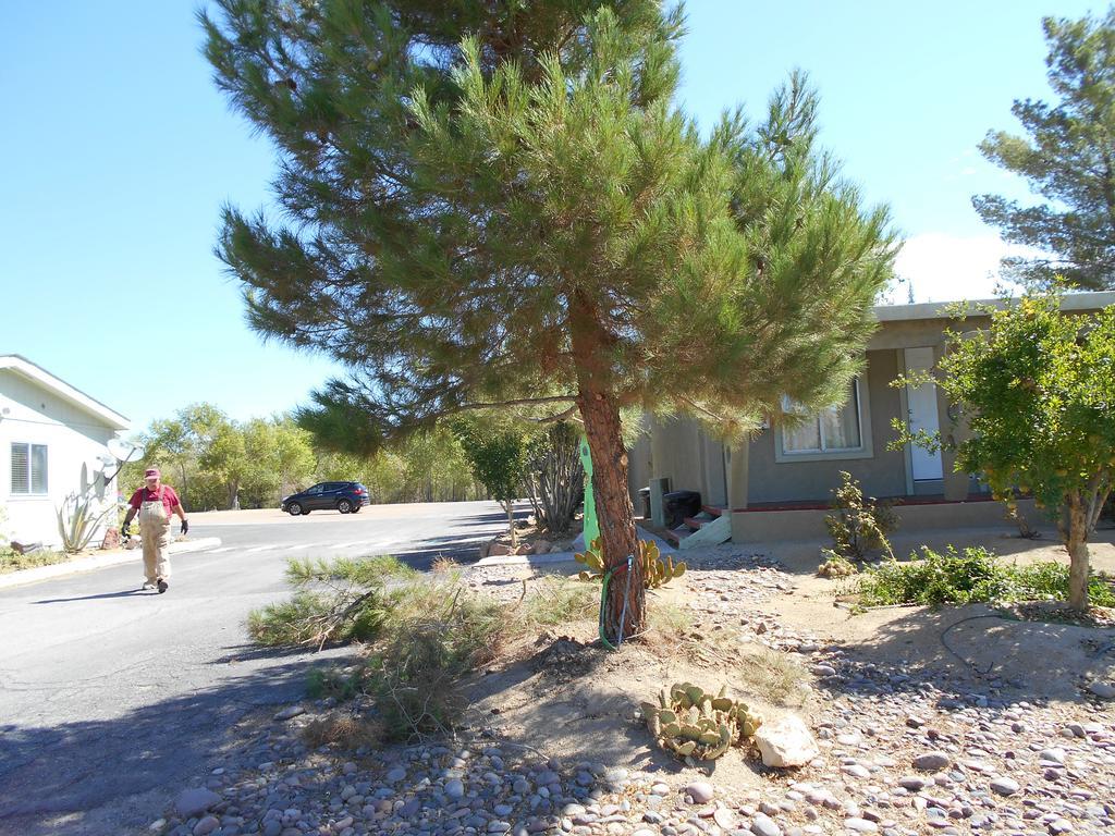 Atomic Inn Beatty Near Death Valley Exterior foto